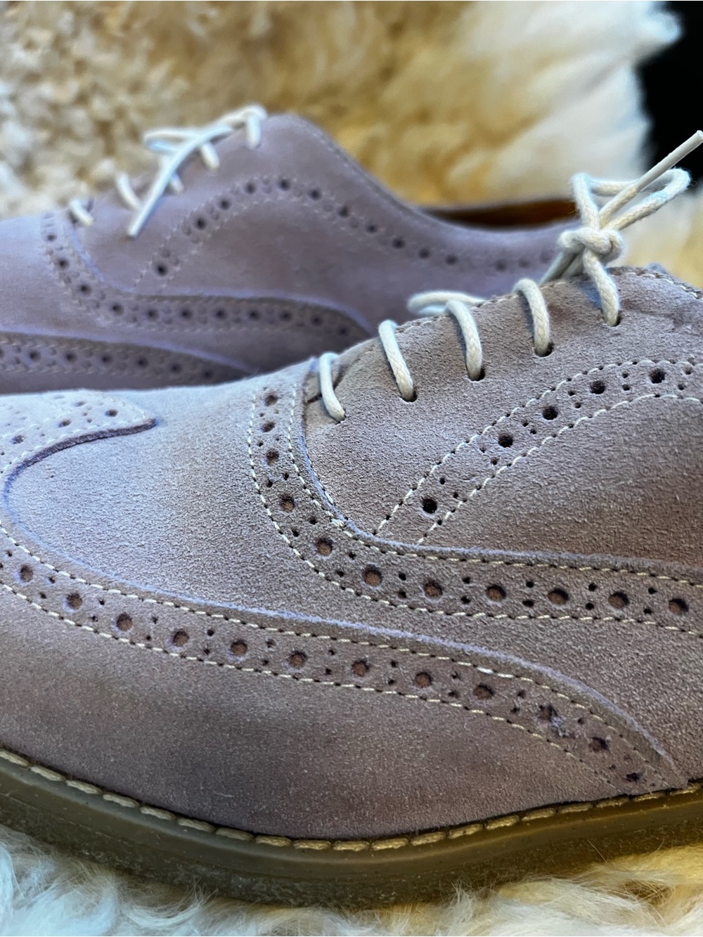 SNOBS CHARLIE BY CHARLIE GNOCCHI scarpa donna shoes purple sz 42 brogues oxfords